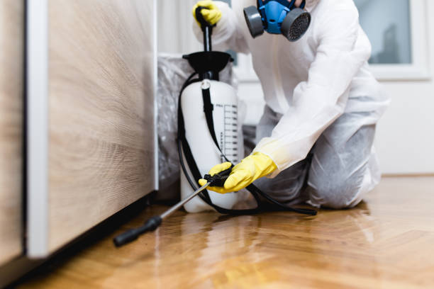 Best Affordable Pest Control Services  in Burbank, WA