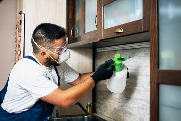 Best Pest Control Near Me  in Burbank, WA
