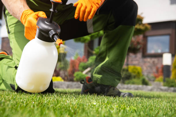 Best Pest Control Near Me in Burbank, WA