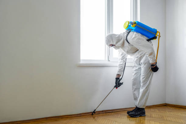  Burbank, WA Pest Control Pros