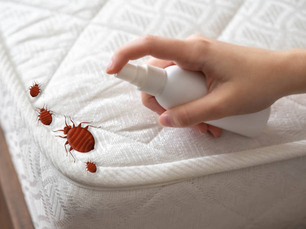 Best Mosquito Control Services  in Burbank, WA