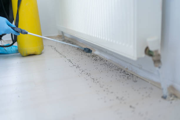 Best Pest Control Cost  in Burbank, WA